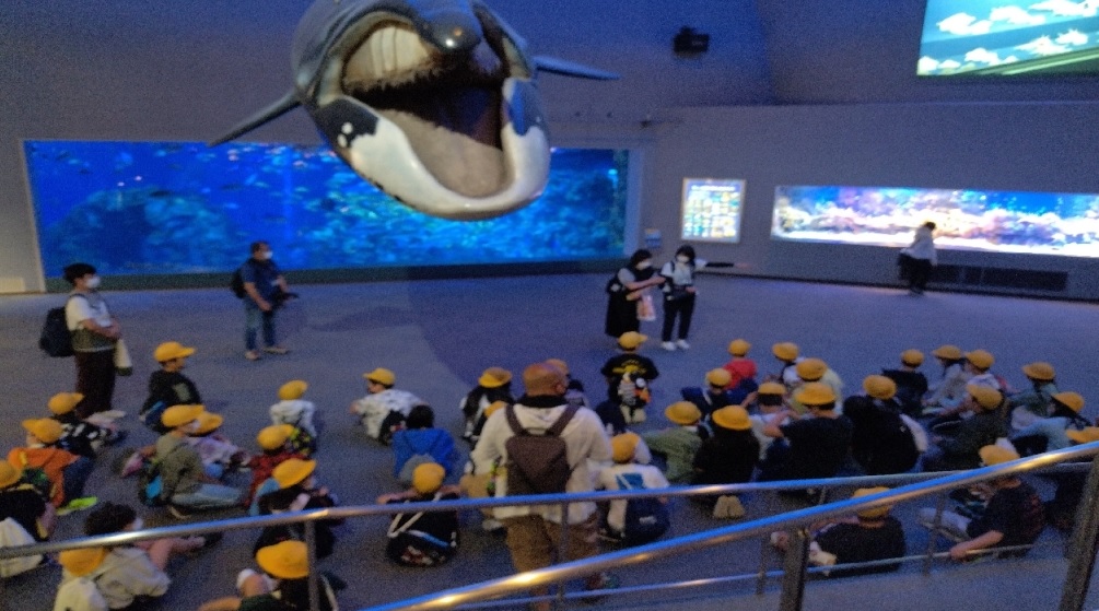 修学旅行　1日目④「鳥羽水族館②」